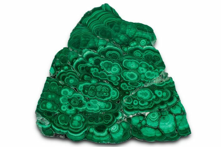 Flowery Polished Malachite Slab - DR Congo #350834